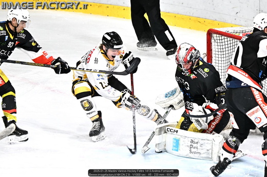 2025-01-25 Mastini Varese-Hockey Feltre 1413 Andrea Fornasetti
